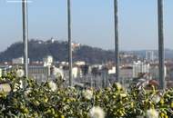 Aufblühen in Reininghaus