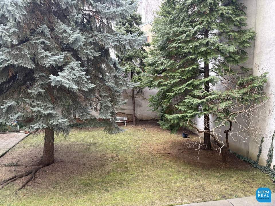 2,5 Zimmer in der Josefstadt mit Garten