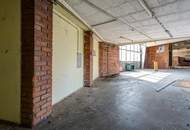 GIGANTISCH gesucht? HIER RICHTIG