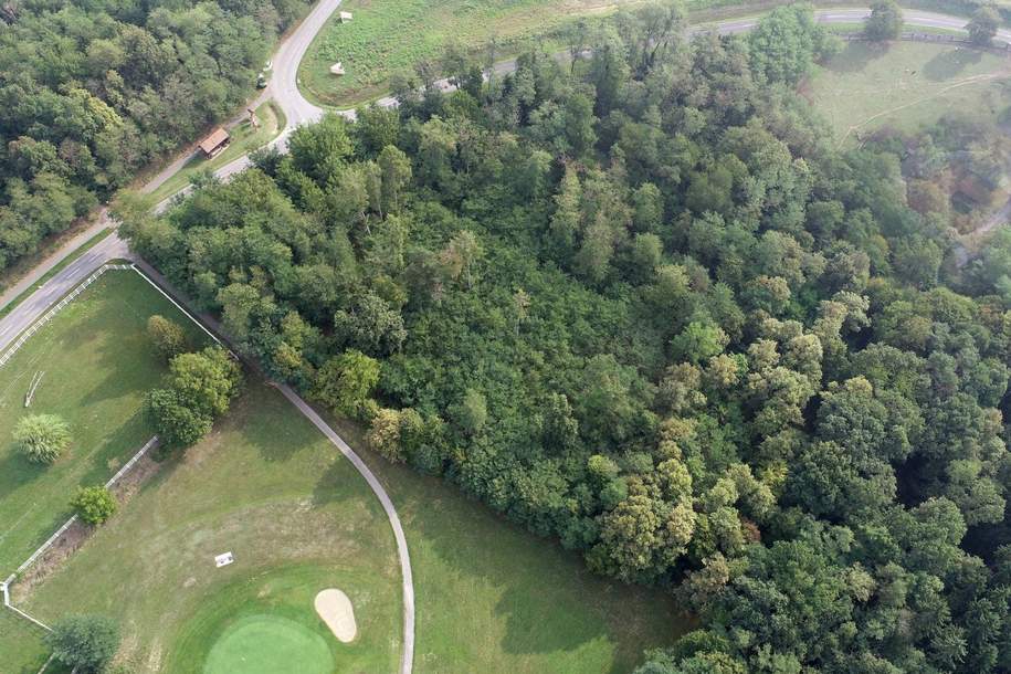 Außergewöhnliche Liegenschaft für ein exklusives Wohnbauprojekt, Grund und Boden-kauf, 1.350.000,€, 7574 Güssing