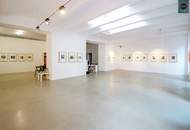 Loft in Hoflage der Brotfabrik Wien!