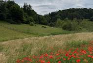 Schönes, sonniges Grundstück in herrlicher Lage in Maria Rain