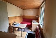 „Grüne Oase mit Perspektive – Kleingartenparzelle in Wien mit geplanter Umwidmung“ | ZELLMANN IMMOBILIEN