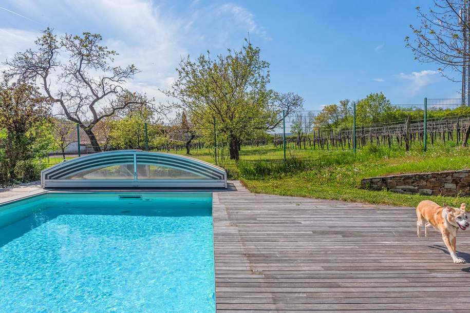 Mitten in den Weinbergen, ein Haus mit Herz, Haus-kauf, 998.000,€, 3550 Krems(Land)