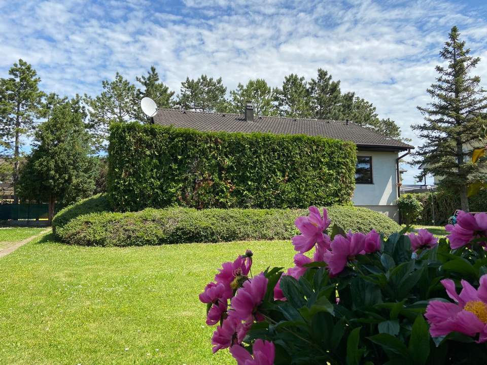 Neuer Preis!! Gemütliches Einfamilienhaus in ruhiger Lage!