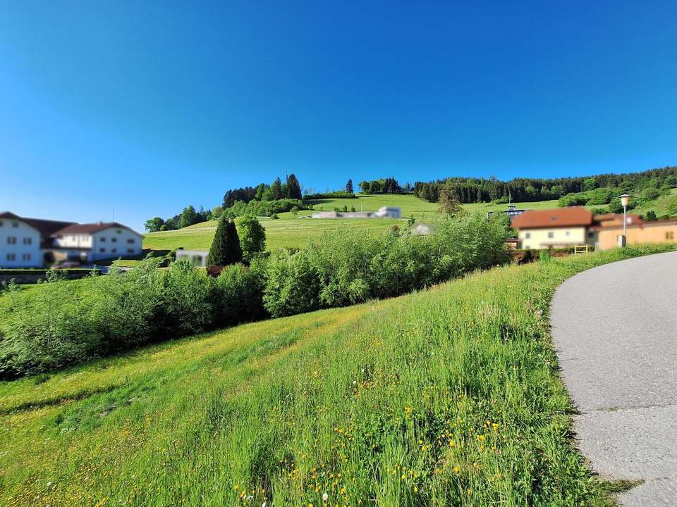 Sonnige Hanglage mit Ausblick – Natur genießen, Stadtnähe erleben