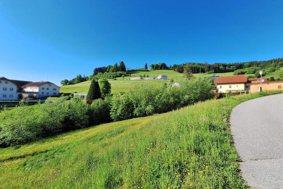 Sonnige Hanglage mit Ausblick – Natur genießen, Stadtnähe erleben, Grund und Boden-kauf, 35.000,€, 4242 Freistadt
