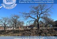 Schönes, sonniges Baugrundstück direkt in Niederschleinz!