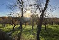 6.026m² Land und Forstwirtschaftliche Fläche in Ruppersdorf