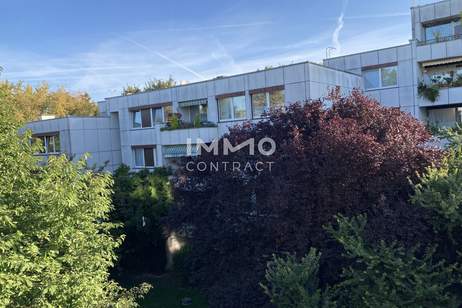 Günstige Wohung in ruhiger Lage direkt in Wolkersdorf, Wohnung-kauf, 345.000,€, 2120 Mistelbach