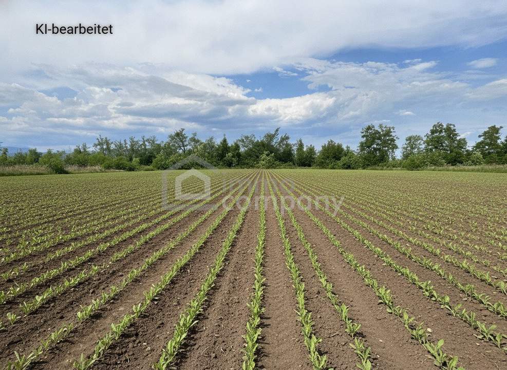 Großes 2.944m² Landwirtschafts-Grundstück in Sollenau zu mieten – Top Lage!