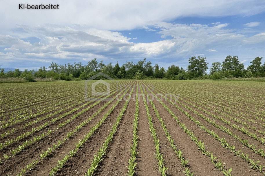 Großes 2.944m² Landwirtschafts-Grundstück in Sollenau zu mieten – Top Lage!, Grund und Boden-miete, 2.944,00,€, 2601 Wiener Neustadt(Land)