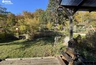 Kleines Paradies im Kleingarten Michaelerwiese im Bieterverfahren
