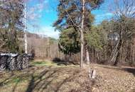 Sonniges Grundstück in Ruhelage