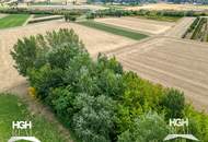 3430 Staasdorf Großzügiges Wohnhaus mit über 6000 m² Garten/Grünland in Bahnhofsnähe - mit Photovoltaik Anlage