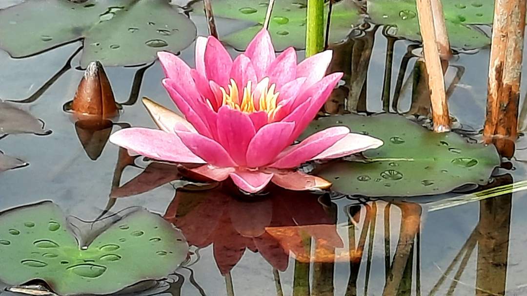 B&B - Frühstückspension - Hermagor Nassfeld Presseggersee