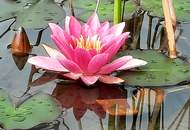 B&B - Frühstückspension - Hermagor Nassfeld Presseggersee