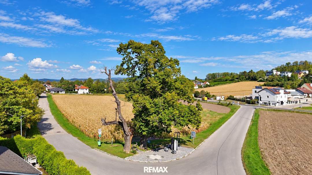 "640m² Baugrund in der Gemeinde Bisamberg – neu aufgeschlossen"