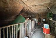Wohnhaus mit Potenzial auf großem Grundstück und kleiner Waldparzelle in Rohrbach an der Lafnitz