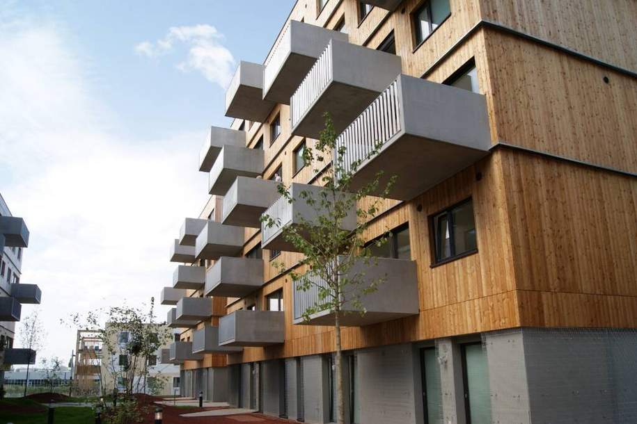 Geschäftslokal in der SEESTADT, Gewerbeobjekt-miete, 1.575,50,€, 1220 Wien 22., Donaustadt