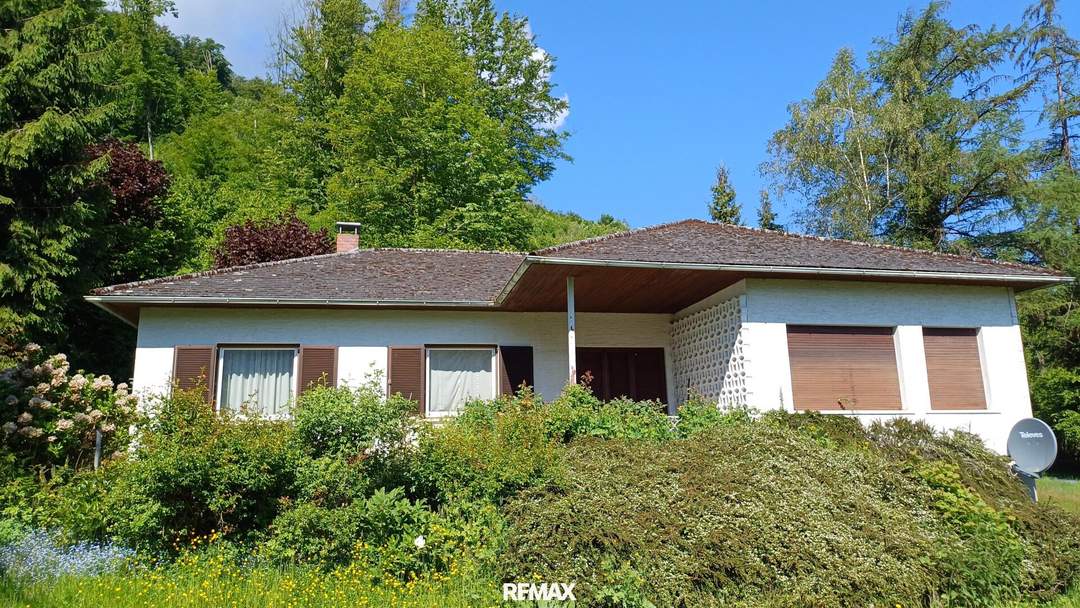 Bungalow mit Donaublick