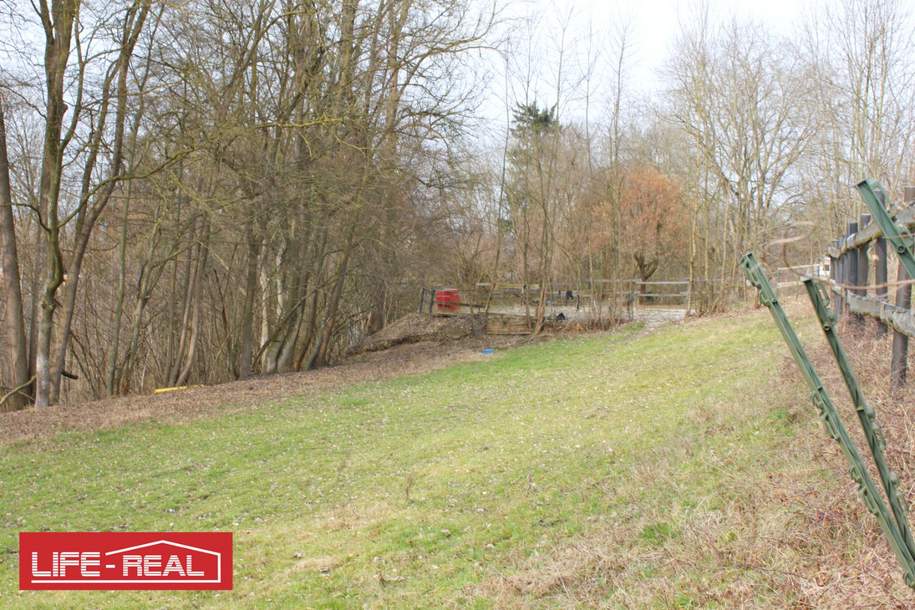 attraktives Baugrundstück in der Gemeinde Thalheim bei Wels, Grund und Boden-kauf, 695.000,€, 4600 Wels(Stadt)