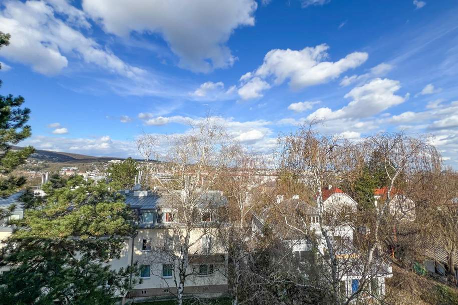 Herrlicher Grünblick in Toplage - 3. OG ohne Lift, Wohnung-kauf, 199.000,€, 1130 Wien 13., Hietzing