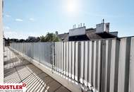 Ein Blick über die Dächer von Wien. 2 Zimmerwohnung mit Terrasse
