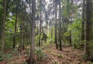 Idyllisches Grundstück am Ende einer Sackgasse – sonniger Bauplatz mit eigenem Wald