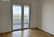 Aufblühen in Reininghaus