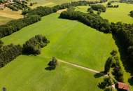 Zum Verkauf steht ein zusammenhängendes Landwirtschafts- und Waldgrundstück mit Holzhaus