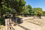 BAULAND in Neusiedl am See – Wohnen im Grünen mit bester Lebensqualität