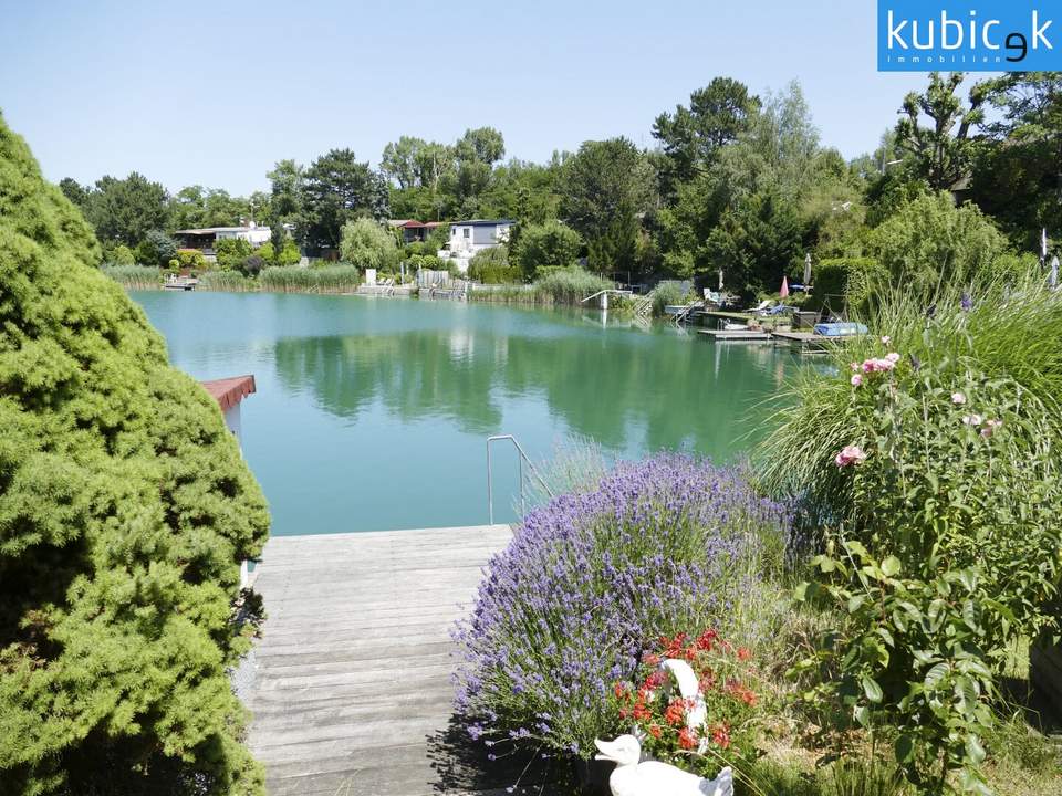 Sommerparadies am Badeteich Süßenbrunn