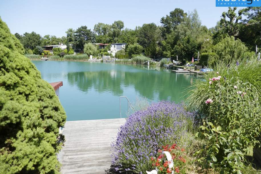 Sommerparadies am Badeteich Süßenbrunn, Haus-kauf, 149.000,€, 1220 Wien 22., Donaustadt