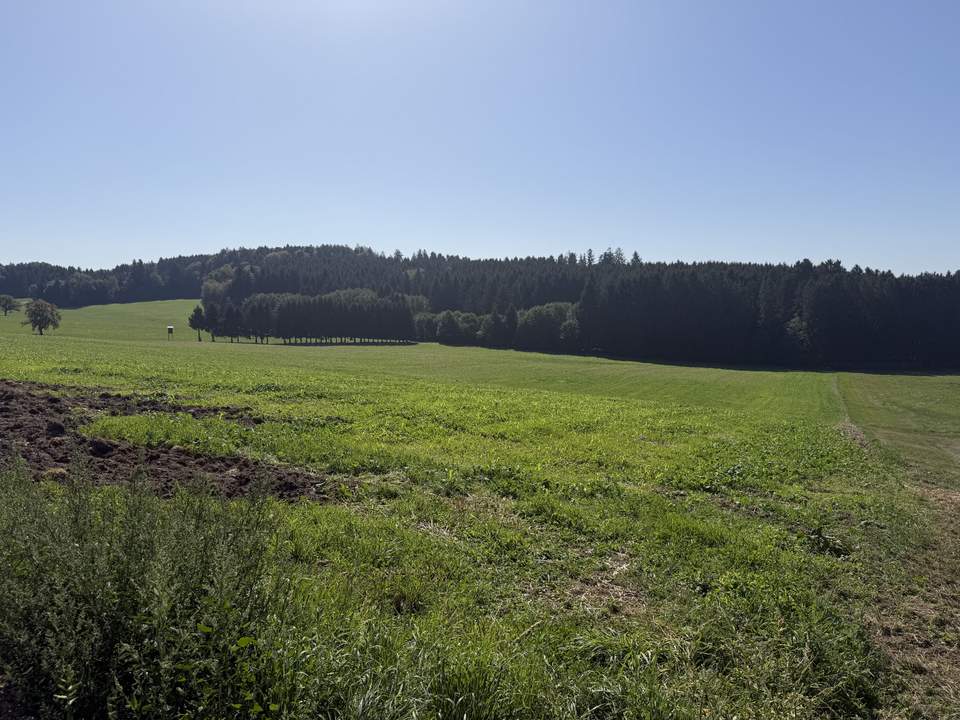 Arrondierte landwirtschaftliche Nutzfläche