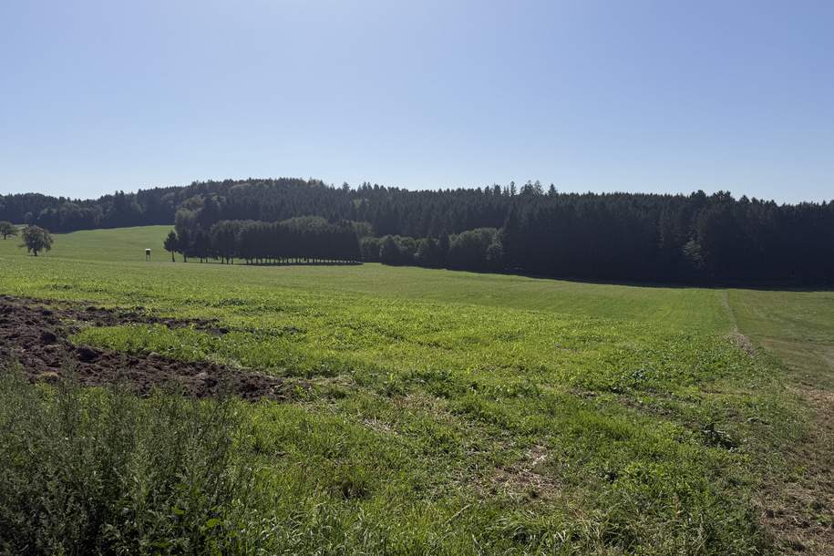 Arrondierte landwirtschaftliche Nutzfläche, Grund und Boden-kauf, 278.400,€, 4085 Schärding