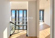The Skyline Penthouse: DC2 Tower Level 51 - DANUBE HORIZON