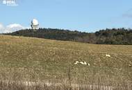 leistbarer Wohntraum im Grünen mit großem Garten