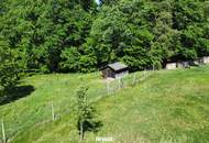 Sonnige Landwirtschaftsfläche mit vielseitigem Potenzial - ideal für Tierhaltung & Naturprojekte