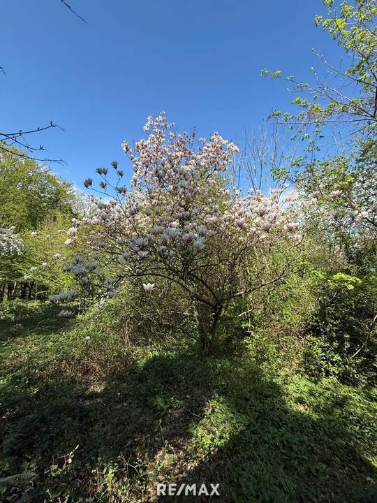 1170 / Idyllisches GRUNDSTÜCK (KLG) Eselstiege