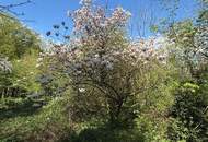 1170 / Idyllisches GRUNDSTÜCK (KLG) Eselstiege