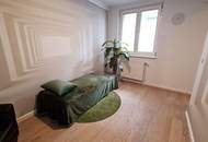 STEPHANSPLATZ-NÄHE, 27 m2 Apartment, 1 Zimmer, Kochnische, Duschbad, Parketten, 8. Liftstock, Rotenturmstraße