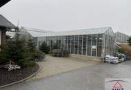 TOP-GELEGENHEIT: Gärtnereibetrieb mit Wohnhaus in Güssing!