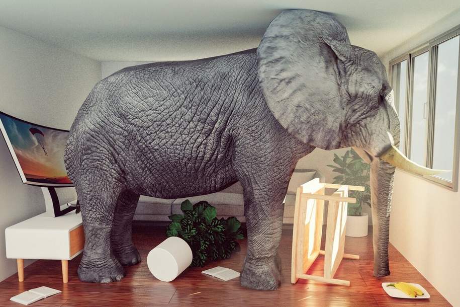 PROVISIONSFREI! ANTON-BENYA-STRASSE 3-7, Wohnung-miete, 1.355,50,€, 2331 Mödling