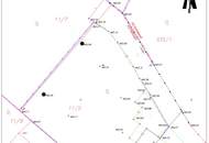 Grünblick in Pettenbach