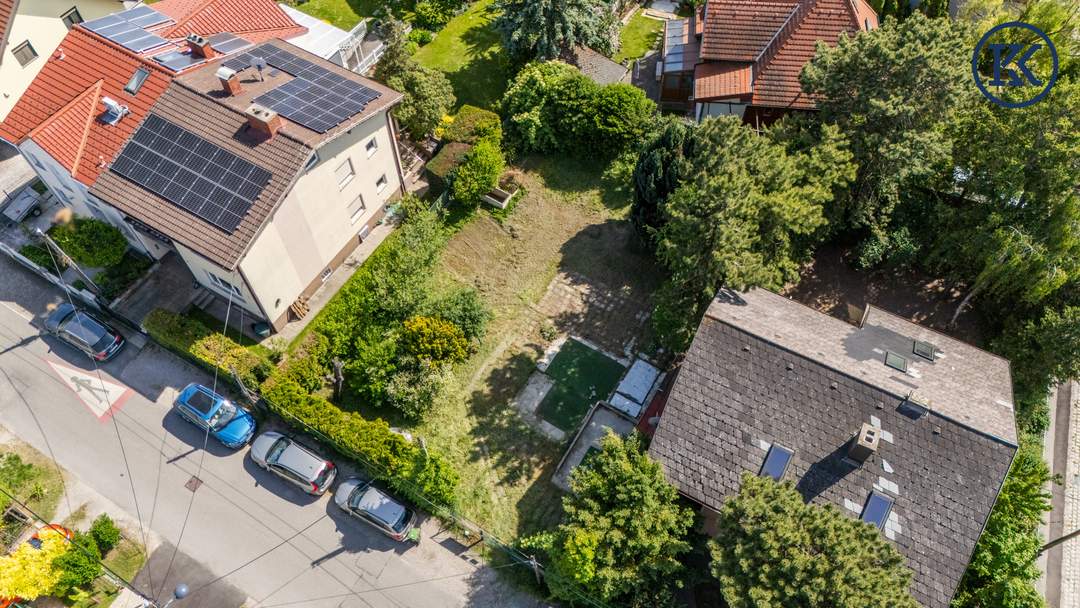 Ein Ort zum Wurzeln schlagen – Raum für Leben, Lachen und Zukunft