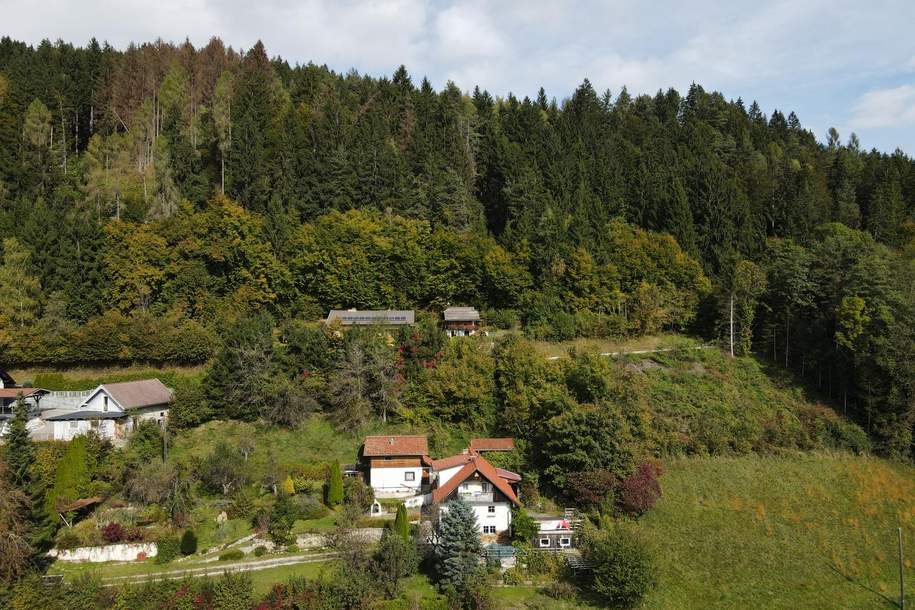 Grund, Waldflächen und Wörtherseeblick, Grund und Boden-kauf, 293.000,€, 9212 Klagenfurt Land