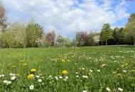 Quartier am Park: Barrierefreie Wohnung im obersten Stock mit Ausblick