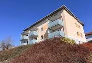 Erdgeschosswohnung mit Terrasse, Garten, PV und Kamin