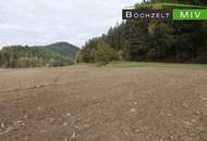 Ca. 3,9 ha Ackerfläche in +++ St. Marein - Feistritz +++